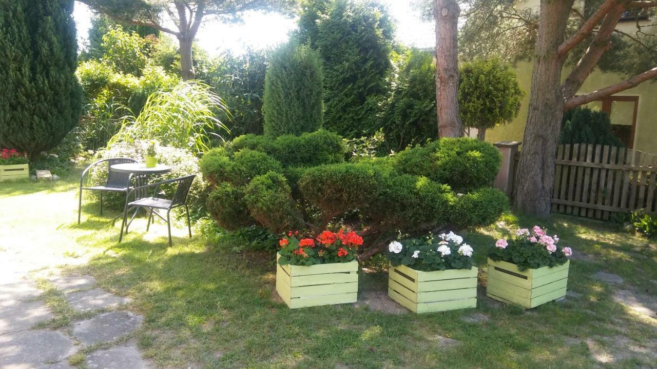 Apartament Cichy Zakątek Sianożęty Zewnętrze zdjęcie
